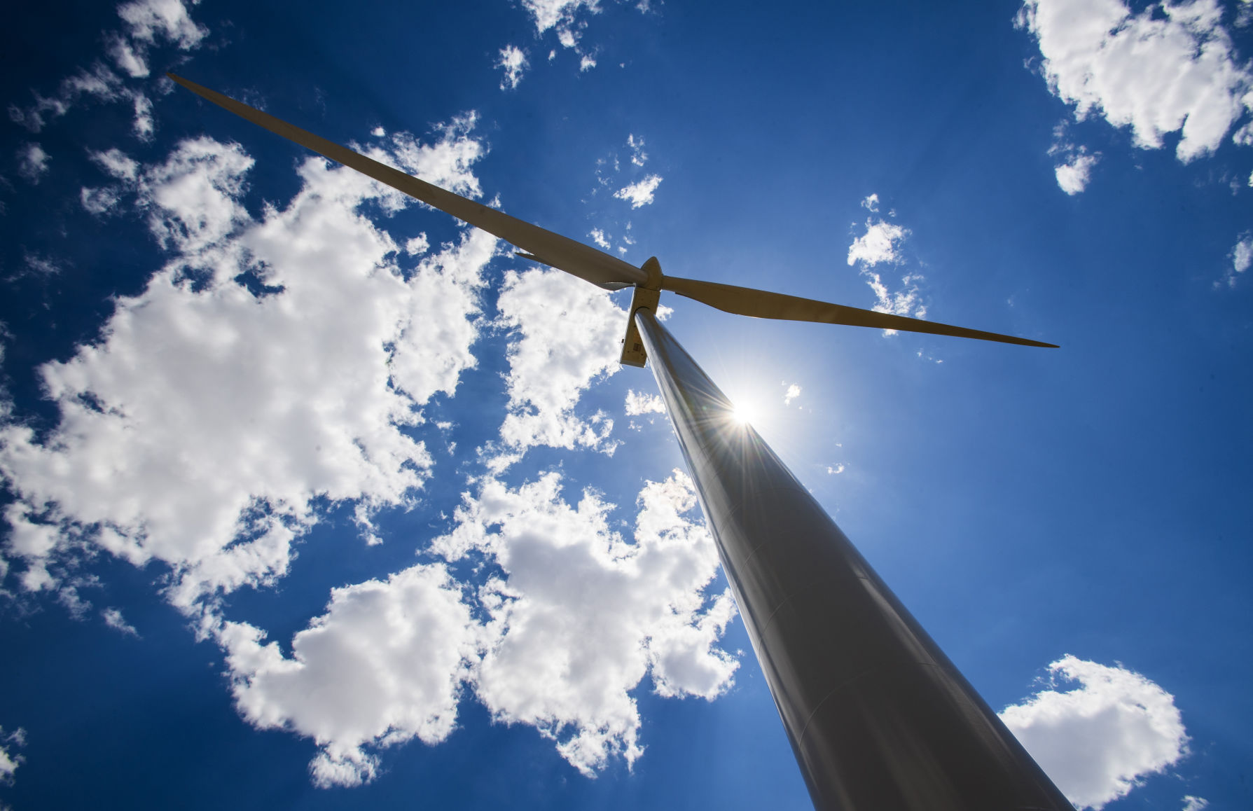 wind farm